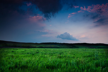 Canvas Print - night background