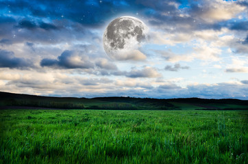 Wall Mural - night background. elements of this image furnished by nasa.