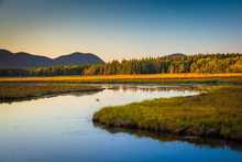 Evening Light On A Stream And Mountains Near Tremont, In Acadia