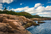 Otter Cliffs And The Atlantic Ocean In Acadia National Park, Mai