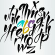 © vera_holera - Vector alphabet. Letters of the alphabet written with a brush