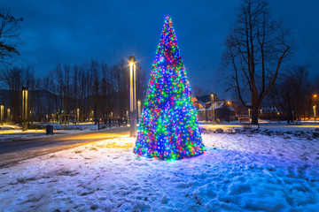 Christmas tree lights in the park, Zakopane in Poland