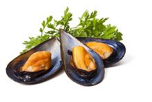 Mussels Isolated On White Background