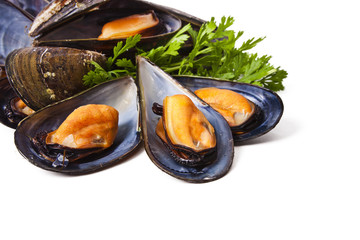 Canvas Print - mussels isolated on white background