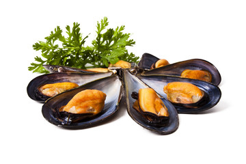 Wall Mural - mussels isolated on white background