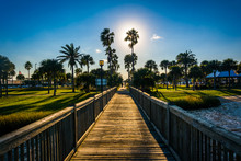 The Sun Shining Through Palm Trees And A Fishing Pier In Daytona