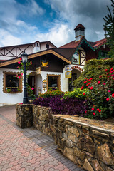 Garden and shops in Helen, Georgia.