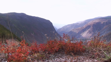 Wall Mural - Autumn mountain landscape