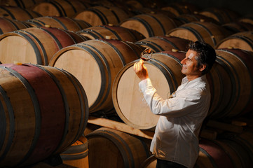 tourism - man tasting wine in a cellar-winemaker