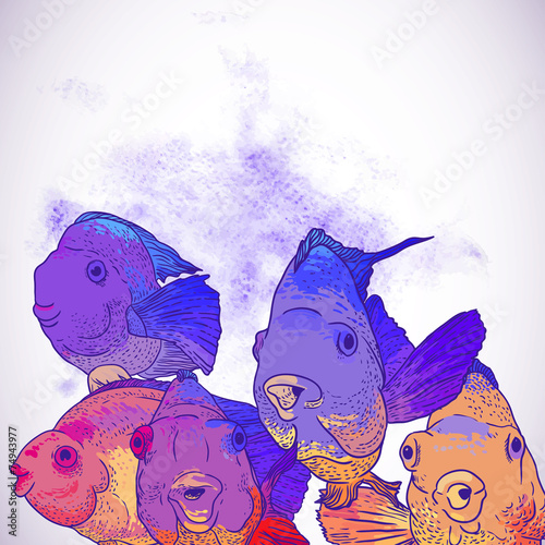 Colorful Greeting Card with Fish © depiano