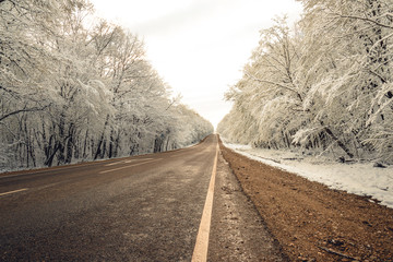 Wall Mural - A snowy road