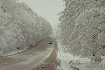 Wall Mural - A snowy road