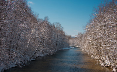 Wall Mural - Winter landscape