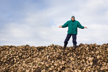 Peasant with sugar beet