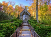 Church In The Woods