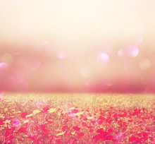 Abstract Photo Of Wild Flower Field And Bright Bokeh Lights  