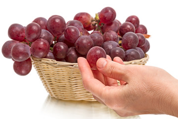 Wall Mural - Large red grapes and hand