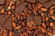fine origin chocolate with cocoa beans