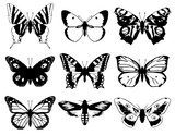 Fototapeta  - Set of butterflies silhouette with open wings.