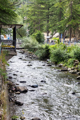 Wall Mural - Mountain River Borjomi. Republic of Georgia