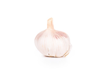 Canvas Print - Head of garlic.