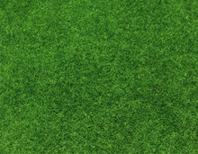 Grass Background Free Stock Photo - Public Domain Pictures