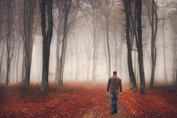 Wall Mural - Man walking the trail in a foggy forest during autumn