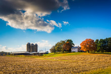 Farm In Rural York County, Pennsylvania.