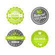 Organic natural and eco food icons set
