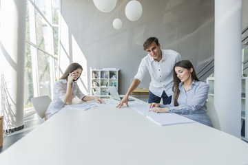 Young people in the office