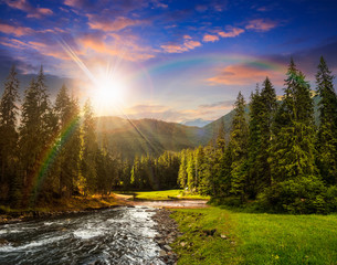 Mountain river in pine forest at sunset