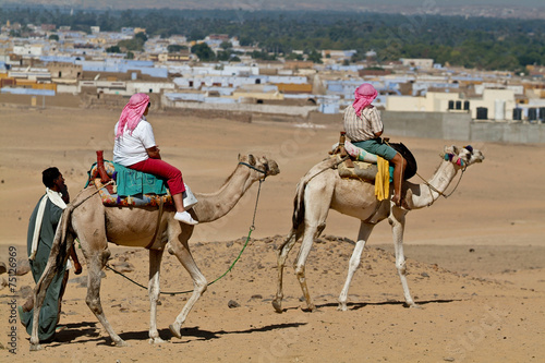 Fotografia, Obraz Egypte - Tourists led by camel drivers.Aswan