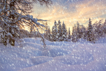 Sticker - winter landscape