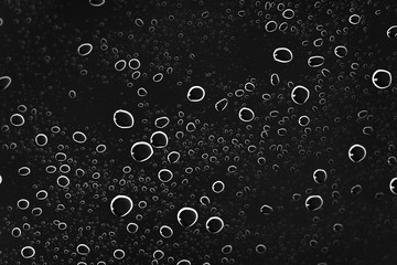 Wall Mural - Water drops on black glass