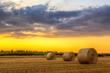 Wall Mural - Sunset over farm field with hay bales