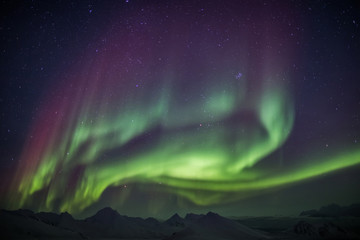 aurora borealis on the arctic sky