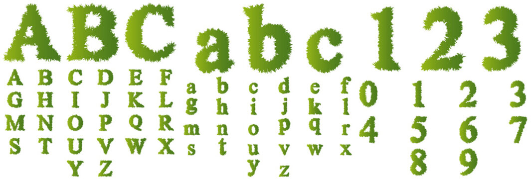 Conceptual green grass font