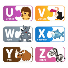 Stickers Alphabet Animals From U To Z - Vector Illustration, Eps