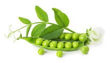 Green Peas Isolated On The White Background