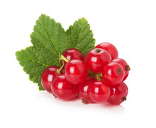 Red Currant Isolated On The White Background