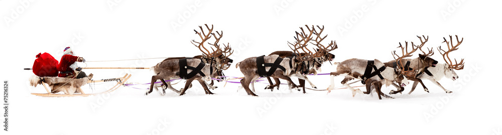 Santa Claus is sitting in a deer sleigh - obrazy, fototapety, plakaty 