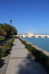 adana merkez cami