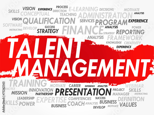 Word cloud of Talent Management related items, vector Stock Vector