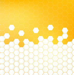 Wall Mural - Honey pattern vector