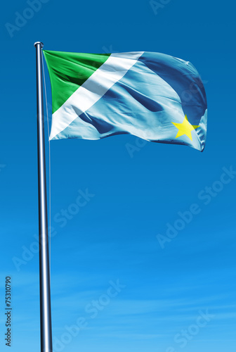 Fotografija Mato Grosso do Sul (Brazil) flag waving on the wind