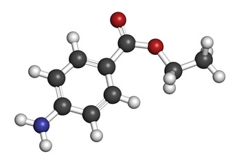 Poster - Benzocaine local anesthetic drug molecule.