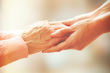 Fototapeta Zwierzęta - Helping hands, care for the elderly concept