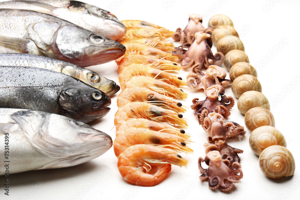 Fresh catch of fish and other seafood close-up