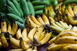 © EwaStudio - Banana in market.  Bunches of ripe yellow and unripe green banan