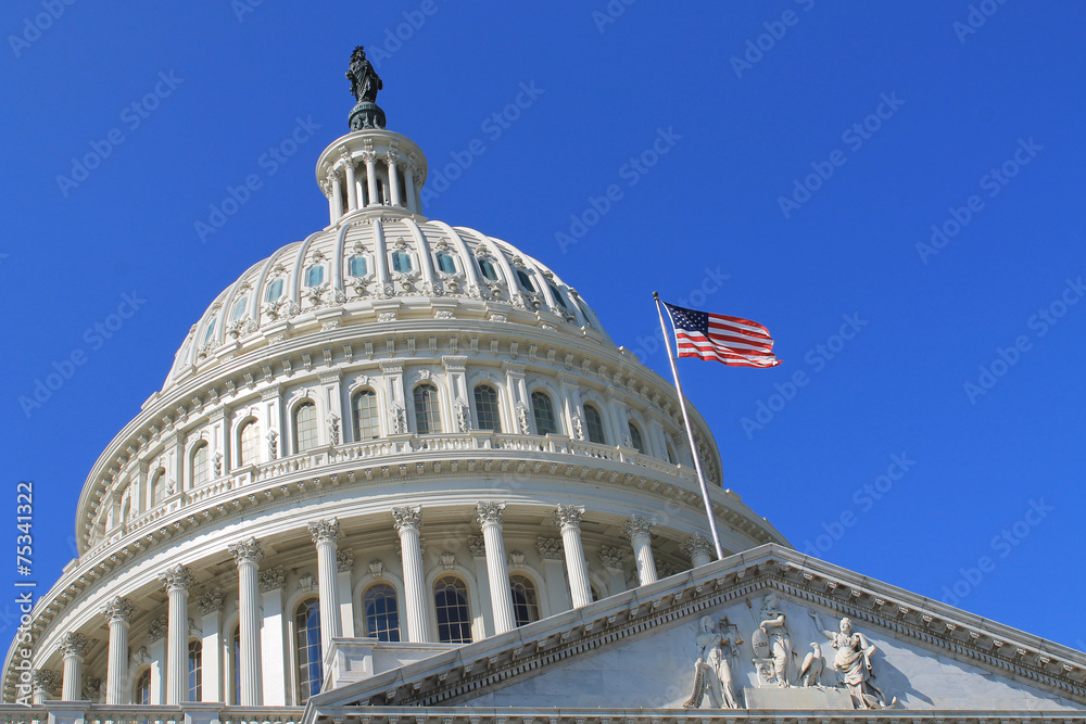 Capitol Building in Washington DC USA - obrazy, fototapety, plakaty 